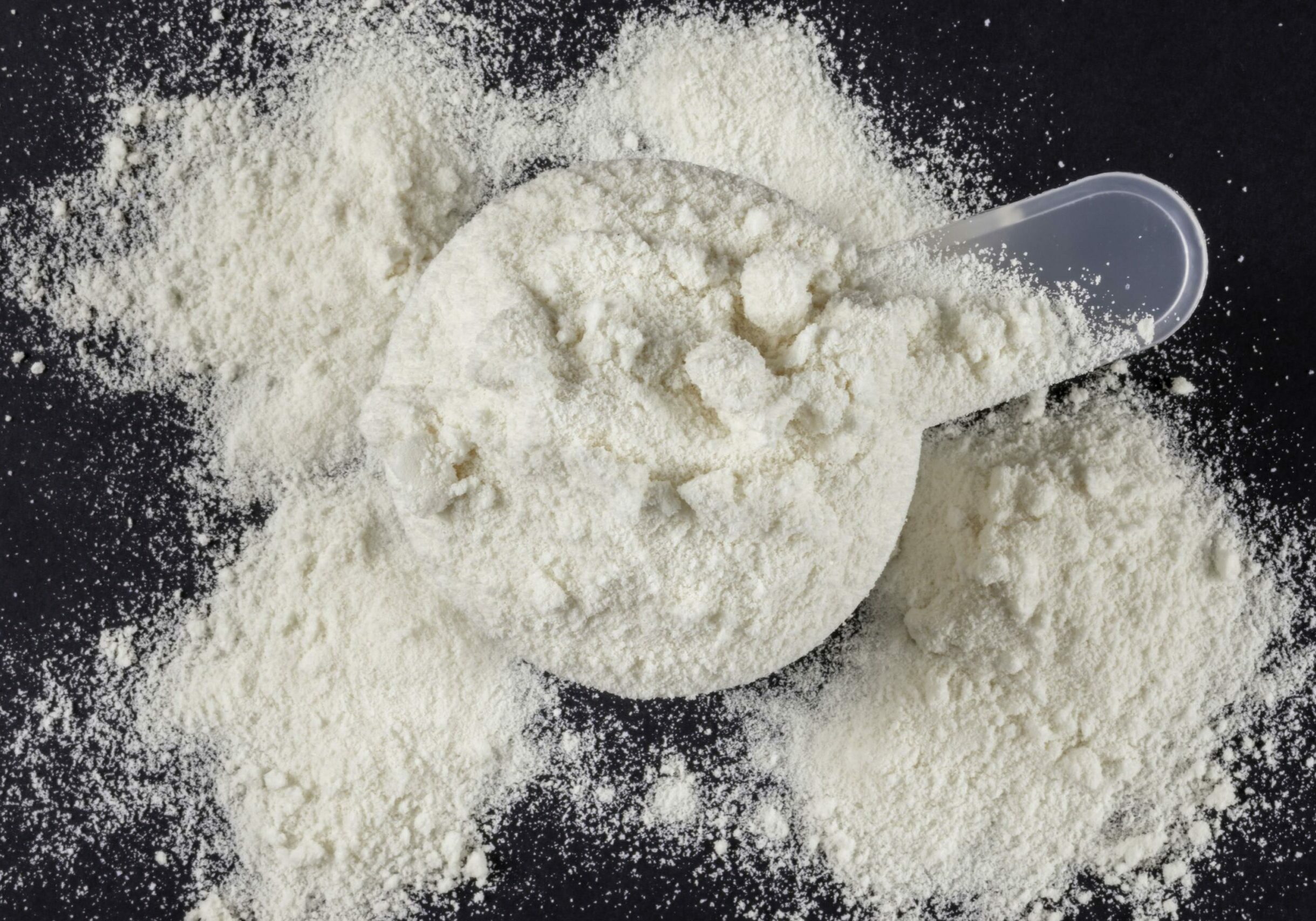 Whey protein powder scoop. Sports nutrition